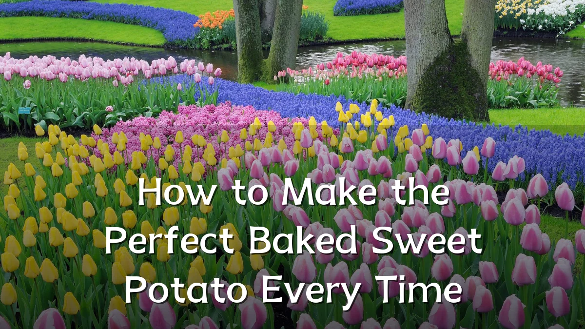 How to Make the Perfect Baked Sweet Potato Every Time