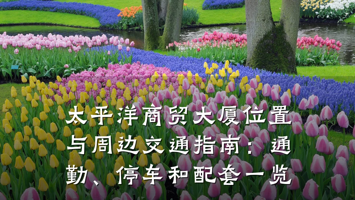 太平洋商贸大厦位置与周边交通指南：通勤、停车和配套一览