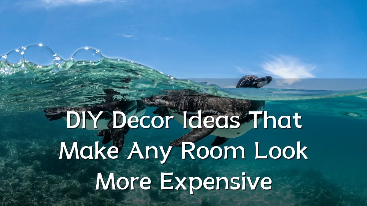DIY Decor Ideas That Make Any Room Look More Expensive