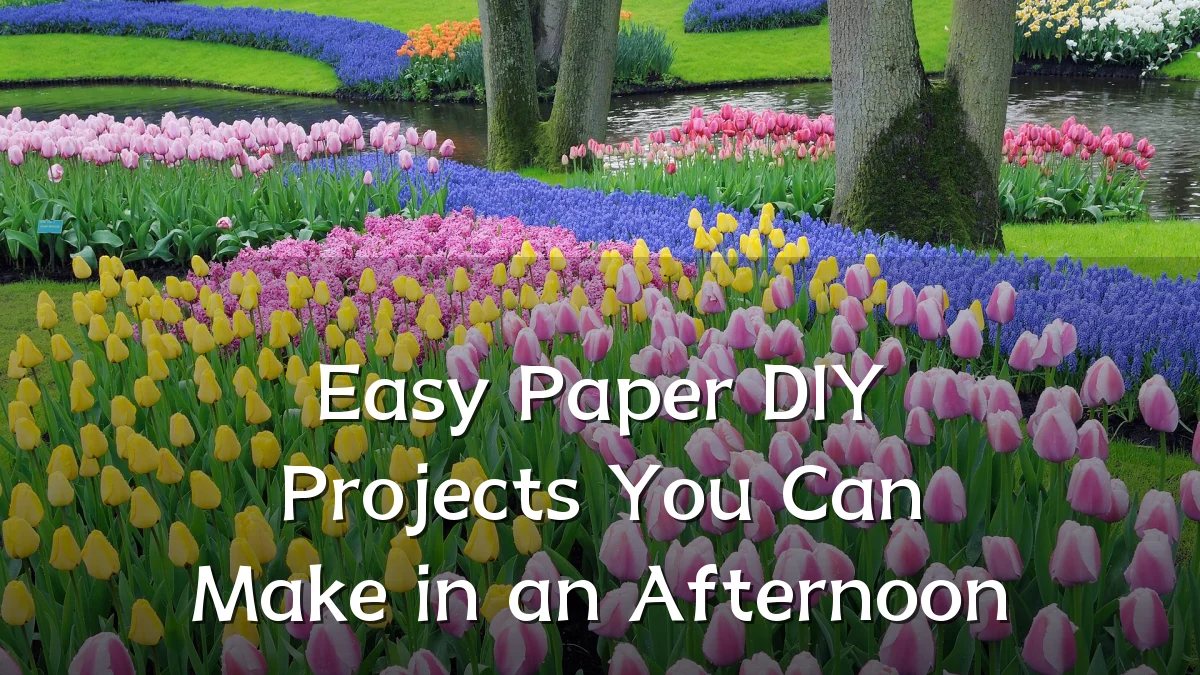 Easy Paper DIY Projects You Can Make in an Afternoon