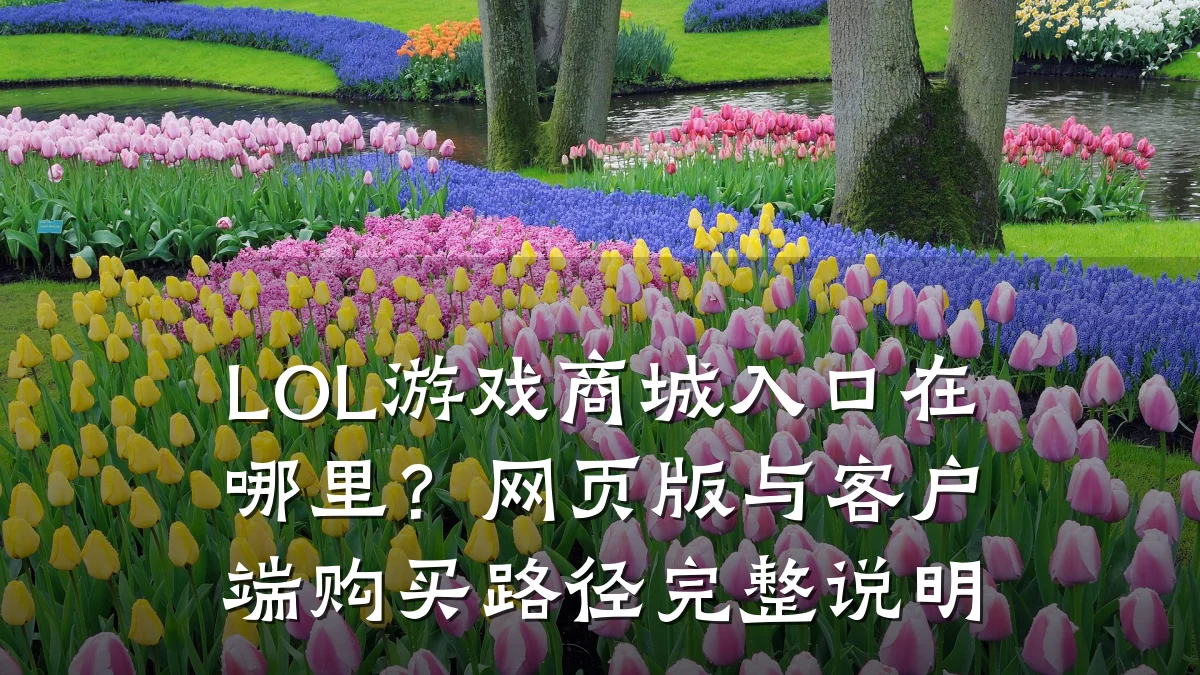 LOL游戏商城入口在哪里?网页版与客户端购买路径完整说明
