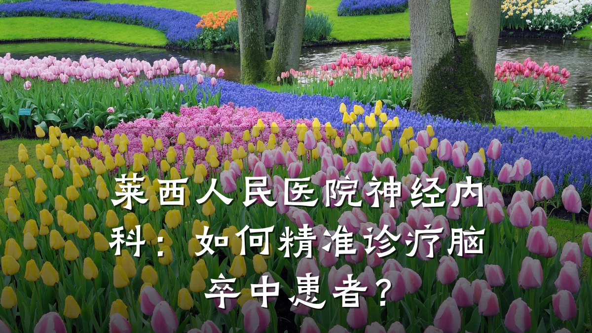 莱西人民医院神经内科：如何精准诊疗脑卒中患者？