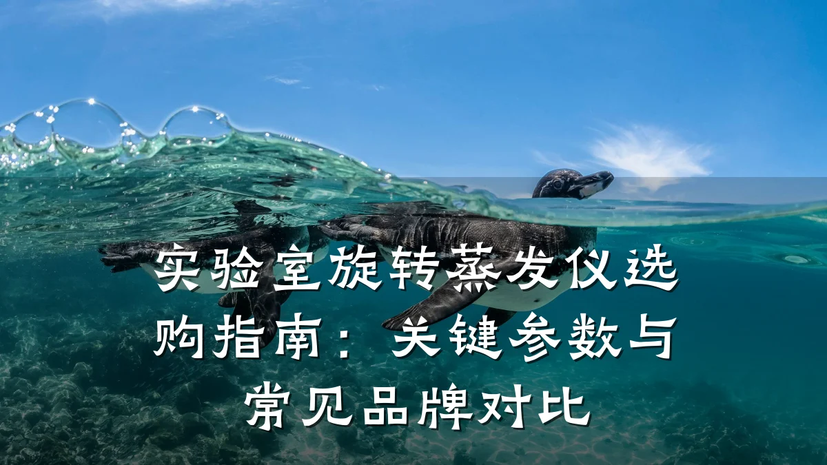 实验室旋转蒸发仪选购指南:关键参数与常见品牌对比