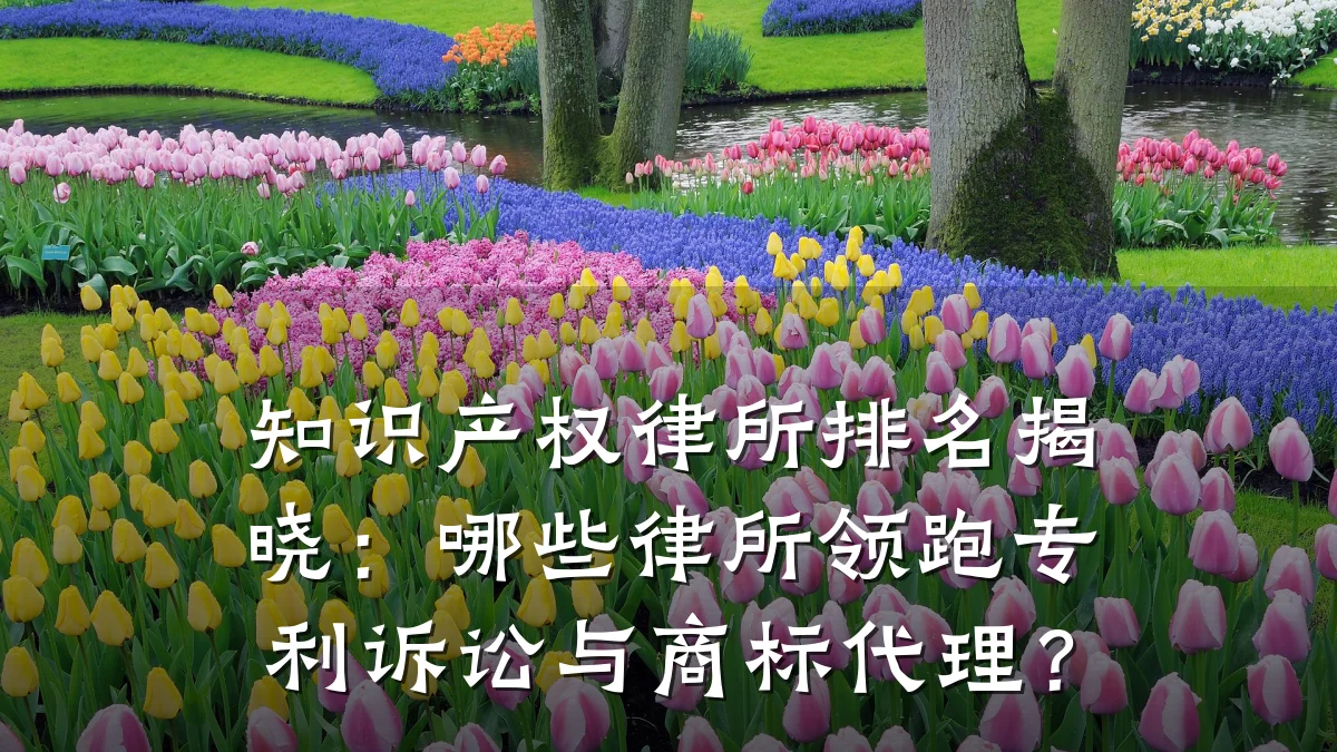 知识产权律所排名揭晓:哪些律所领跑专利诉讼与商标代理?