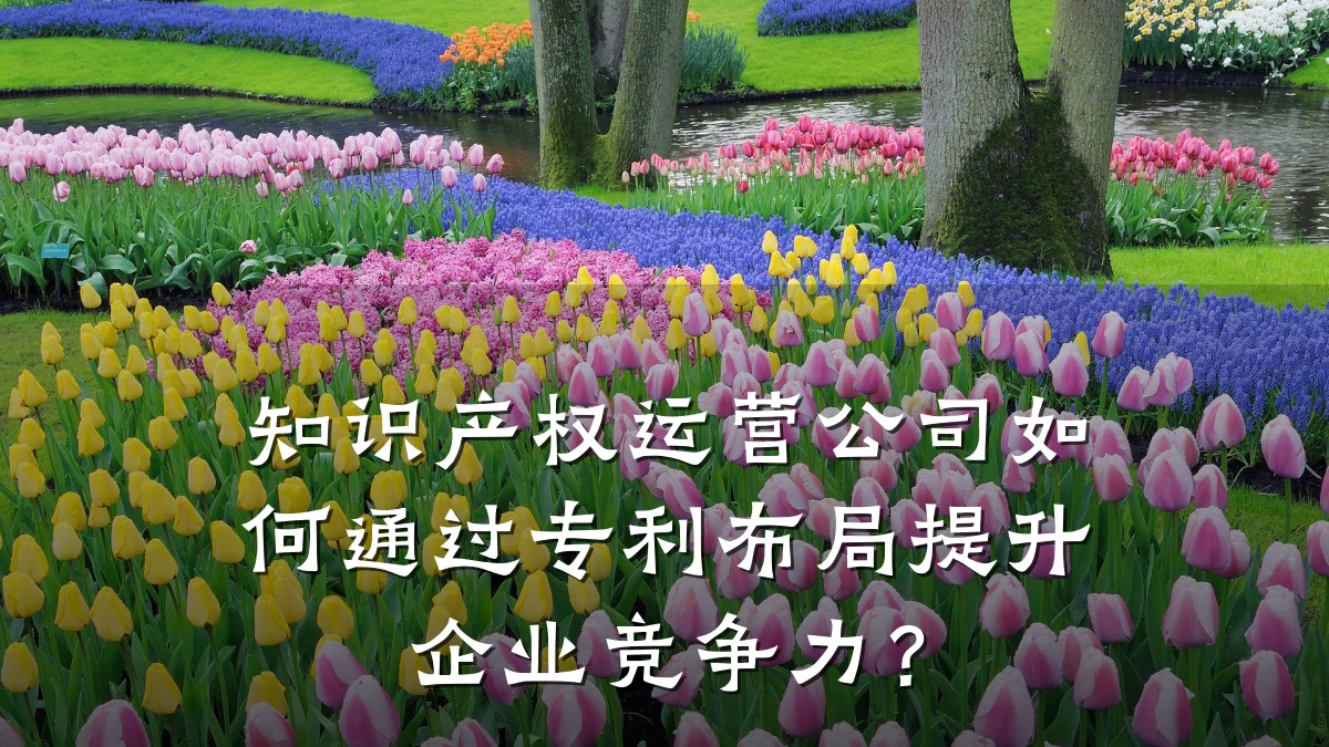 知识产权运营公司如何通过专利布局提升企业竞争力？