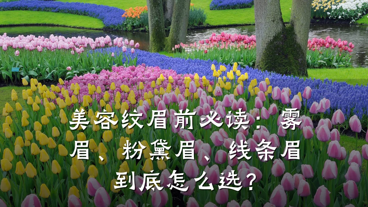 美容纹眉前必读：雾眉、粉黛眉、线条眉到底怎么选？