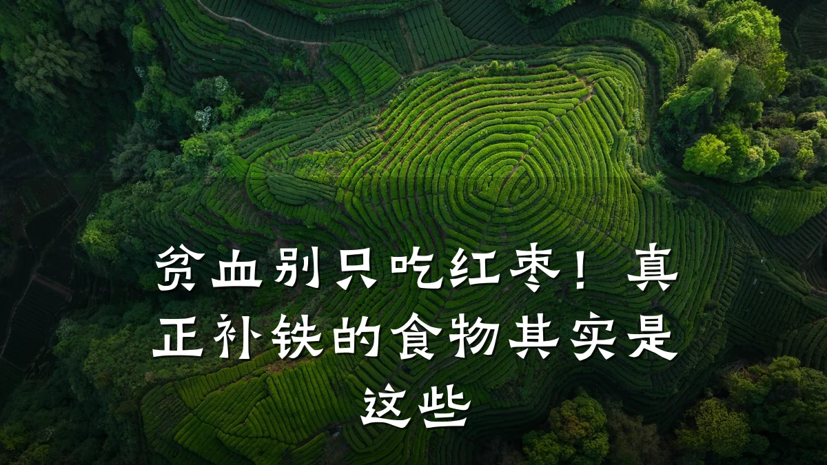 贫血别只吃红枣！真正补铁的食物其实是这些