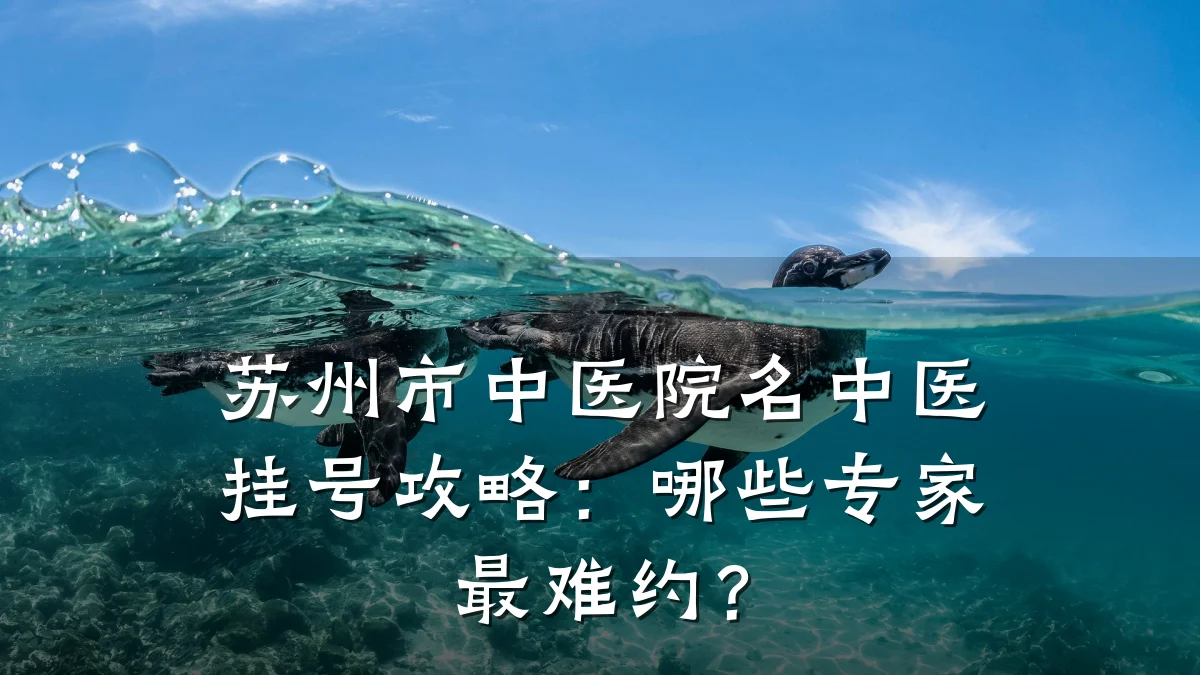苏州市中医院名中医挂号攻略:哪些专家最难约?