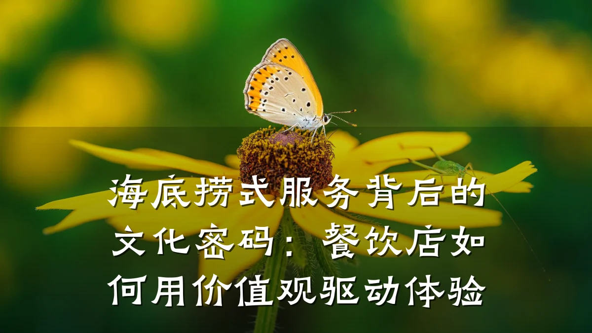 海底捞式服务背后的文化密码:餐饮店如何用价值观驱动体验