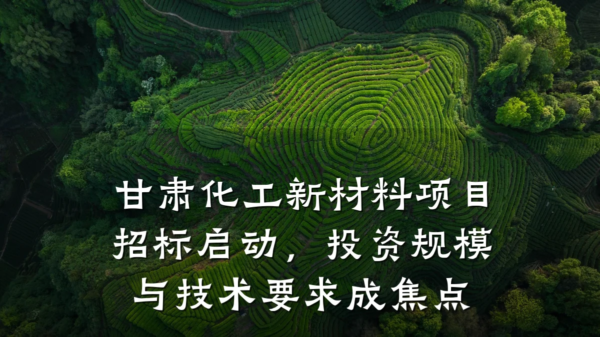 甘肃化工新材料项目招标启动，投资规模与技术要求成焦点