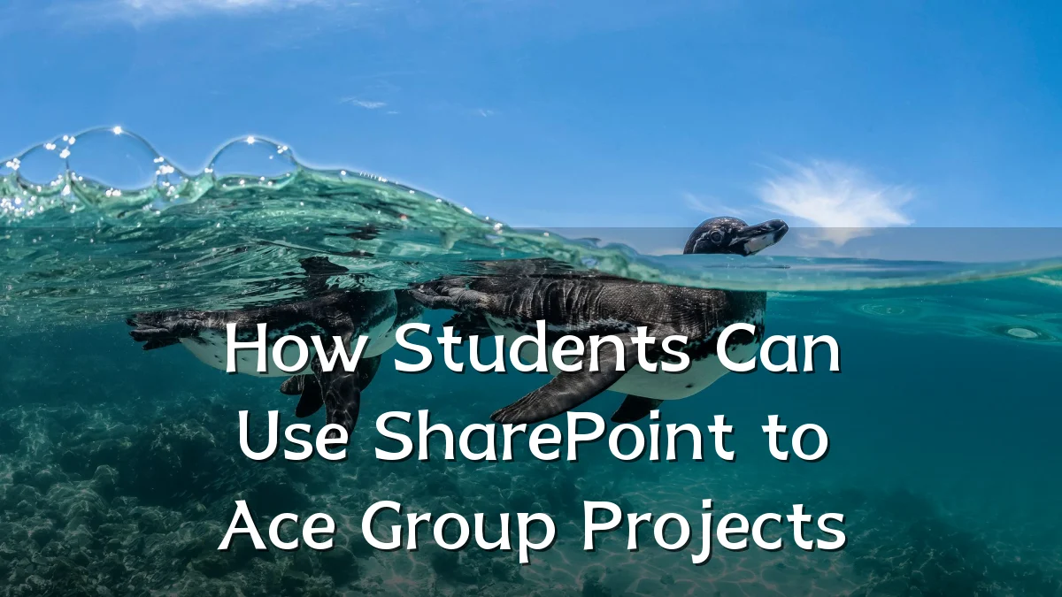 How Students Can Use SharePoint to Ace Group Projects