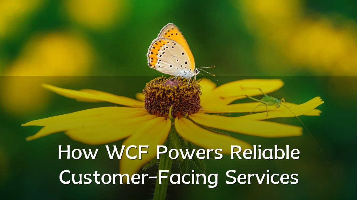 How WCF Powers Reliable Customer-Facing Services