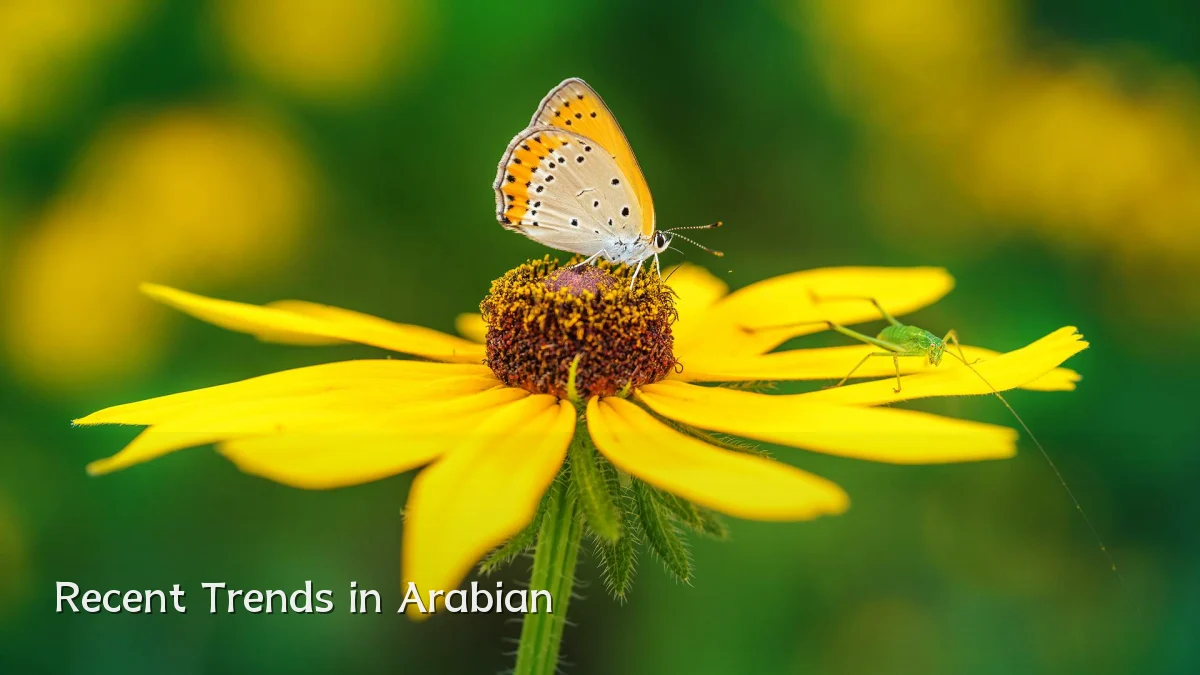 Recent Trends in Arabian