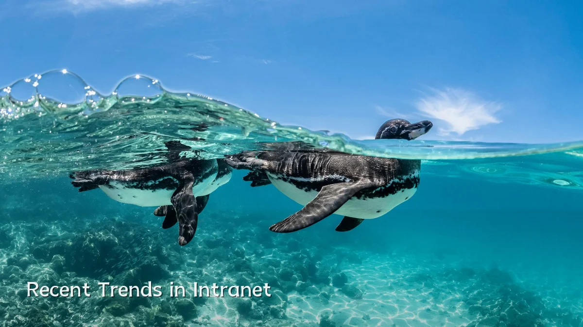 Recent Trends in Intranet