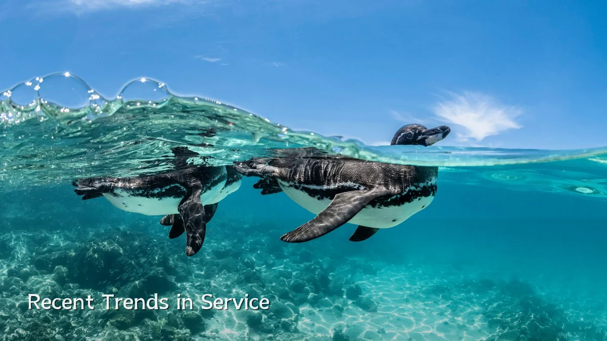 Recent Trends in Service