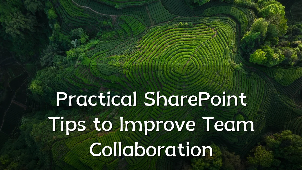 Practical SharePoint Tips to Improve Team Collaboration