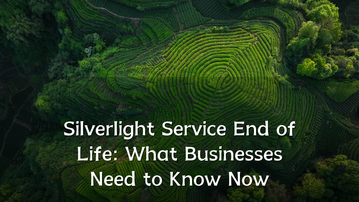 Silverlight Service End of Life: What Businesses Need to Know Now