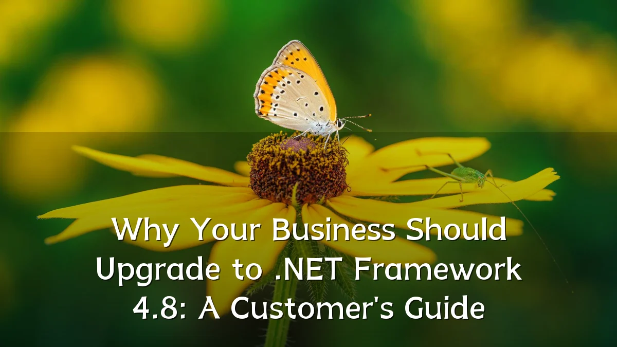 Why Your Business Should Upgrade to .NET Framework 4.8: A Customer's Guide