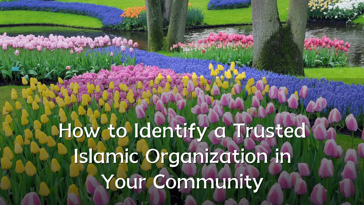 How to Identify a Trusted Islamic Organization in Your Community