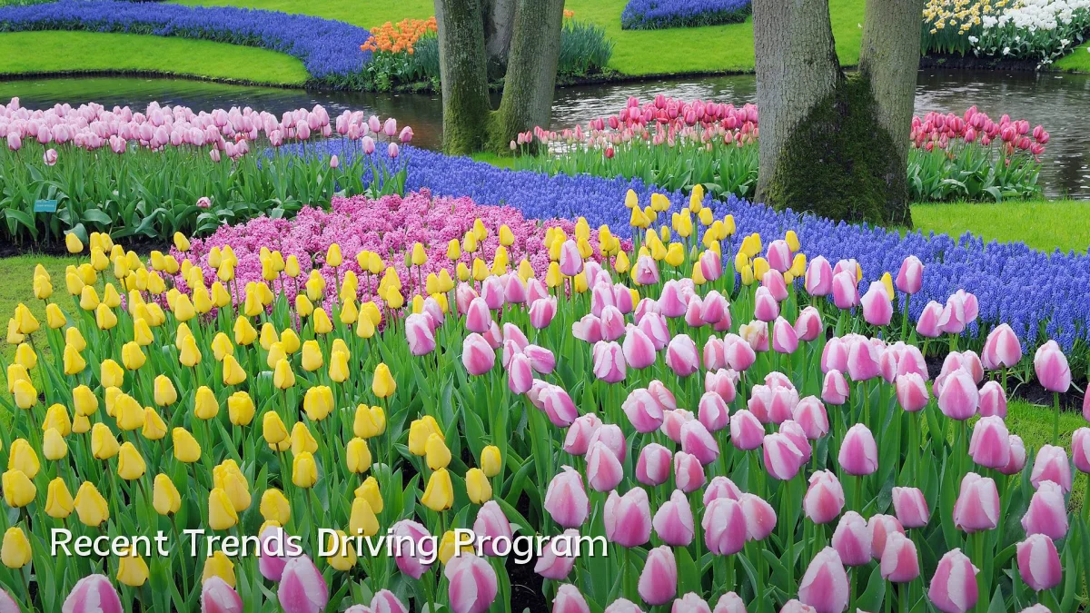 Recent Trends Driving Program