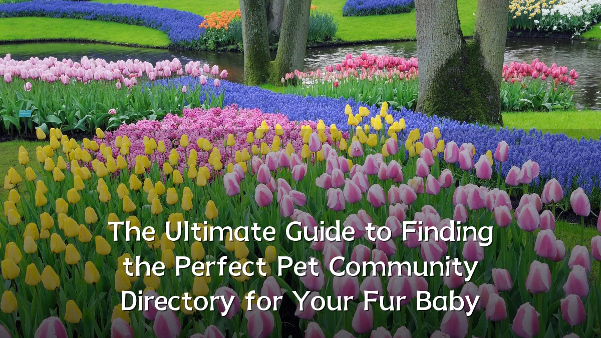 The Ultimate Guide to Finding the Perfect Pet Community Directory for Your Fur Baby