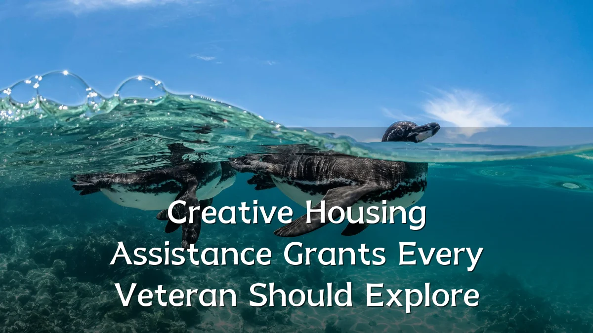 Creative Housing Assistance Grants Every Veteran Should Explore