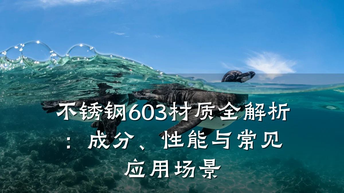 不锈钢603材质全解析：成分、性能与常见应用场景