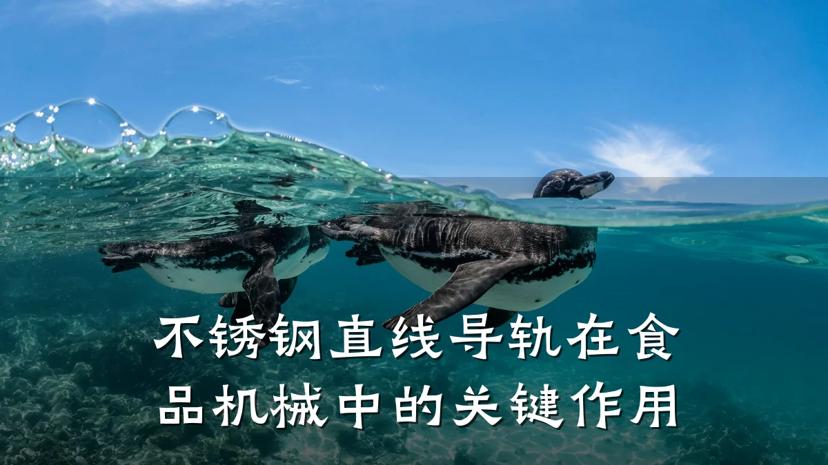 不锈钢直线导轨在食品机械中的关键作用